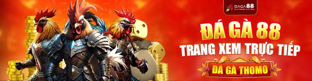 Đá gà thomo trực tiếp tại ae3888 - nhà cái uy tín hàng đầu Việt Nam